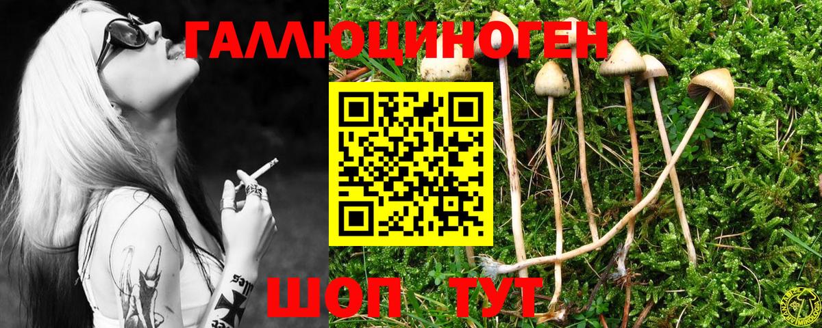 Галлюциногенные грибы мицелий Керчь