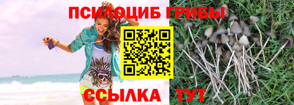 Керчь  Галлюциногенные грибы мицелий  Вход с VPN 